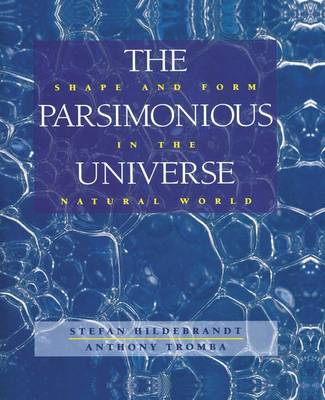 Book cover for The Parsimonious Universe