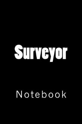 Book cover for Surveyor