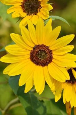 Book cover for A Bright Yellow Sunflower Journal