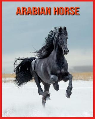 Book cover for Arabian Horse