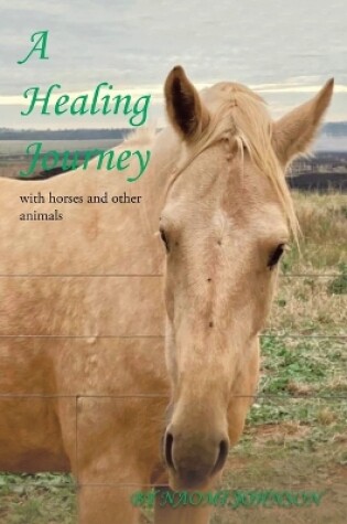 Cover of A Healing Journey