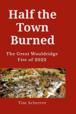 Cover of Half the town burned
