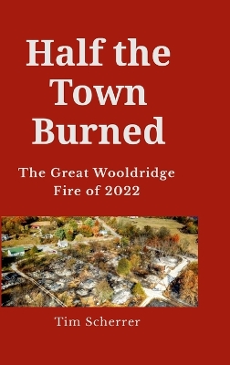 Book cover for Half the town burned