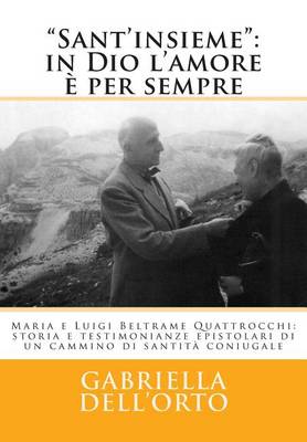 Book cover for Sant'insieme