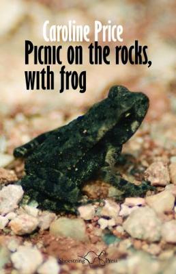 Book cover for Picnic on the Rocks, with Frog