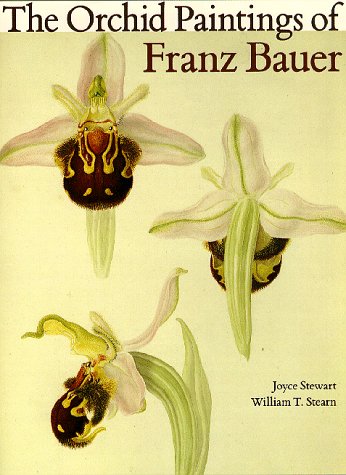 Book cover for The Orchid Paintings of Franz Bauer