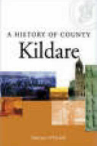 Cover of A History of County Kildare