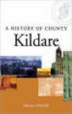 Book cover for A History of County Kildare