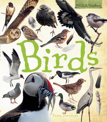 Cover of Birds