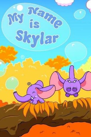 Cover of My Name is Skylar