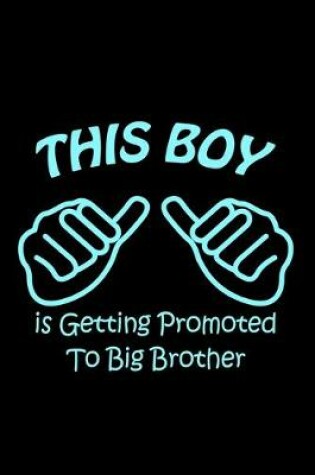 Cover of This Boy is Getting Promoted to Big Brother