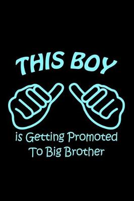 Book cover for This Boy is Getting Promoted to Big Brother