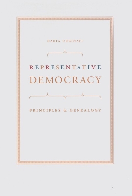 Book cover for Representative Democracy