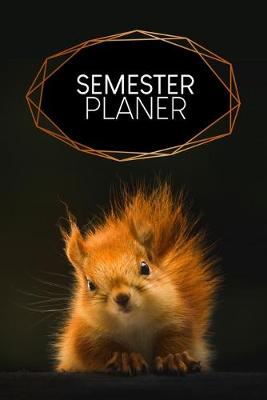 Book cover for Semesterplaner