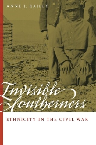 Cover of Invisible Southerners