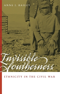 Book cover for Invisible Southerners