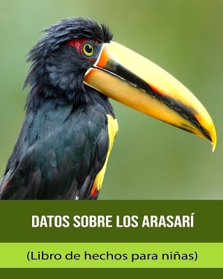 Book cover for Datos sobre los Arasarí (Libro de hechos para niñas)