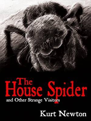 Book cover for The House Spider