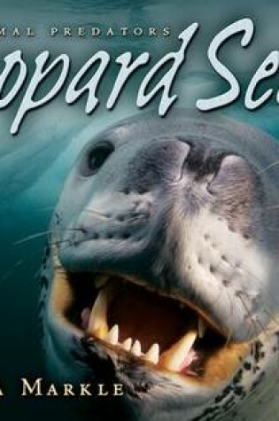 Cover of Leopard Seals