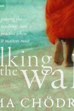 Cover of Walking the Walk