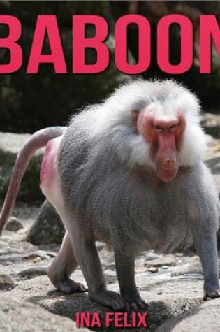 Cover of Baboon