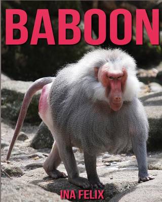 Book cover for Baboon