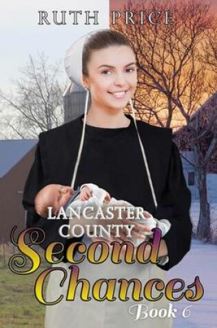 Cover of Lancaster County Second Chances Book 6