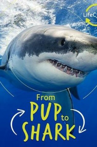 Cover of From Pup to Shark