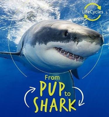 Cover of From Pup to Shark