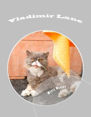 Book cover for Vladimir Lane