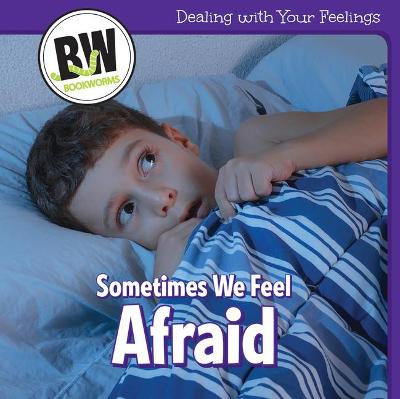 Book cover for Sometimes We Feel Afraid