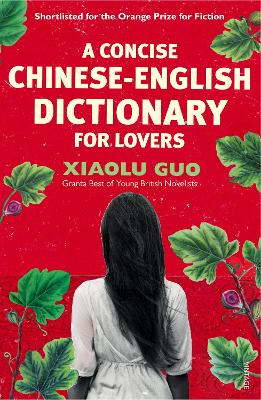 Book cover for A Concise Chinese-English Dictionary for Lovers