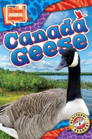 Cover of Canada Geese