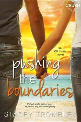 Book cover for Pushing the Boundaries