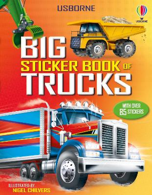 Book cover for Big Sticker Book of Trucks