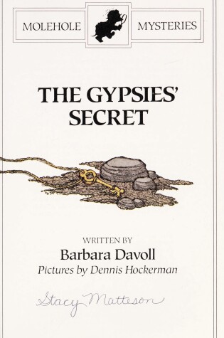 Cover of The Gypsies' Secret