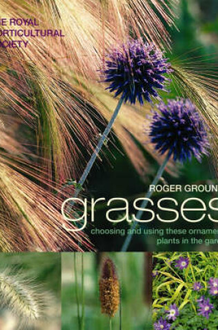 Cover of RHS Grasses