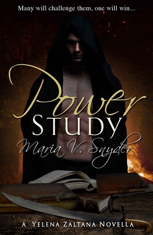 Book cover for Power Study