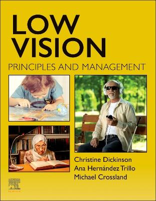 Book cover for Low Vision - E-Book