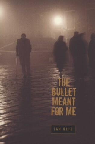 Cover of The Bullet Meant for Me