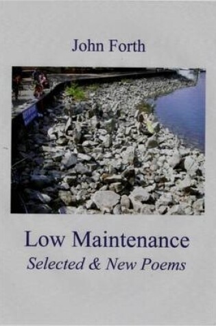 Cover of Low Maintenance