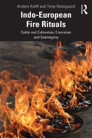 Cover of Indo-European Fire Rituals