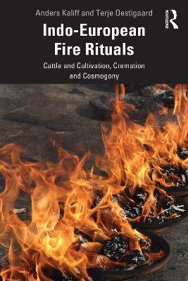 Book cover for Indo-European Fire Rituals