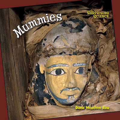 Book cover for Mummies