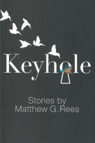 Cover of Keyhole - Stories by Matthew G. Rees