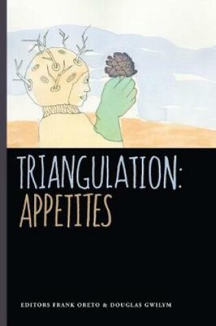 Cover of Triangulation