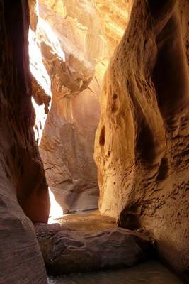 Book cover for Light Shining Down Into the Canyon at Zion National Park