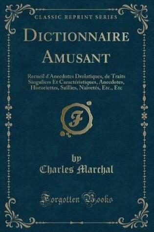 Cover of Dictionnaire Amusant