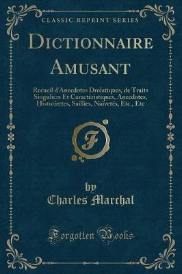 Book cover for Dictionnaire Amusant