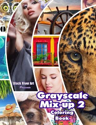 Book cover for Grayscale Mix-up 2 Coloring Book